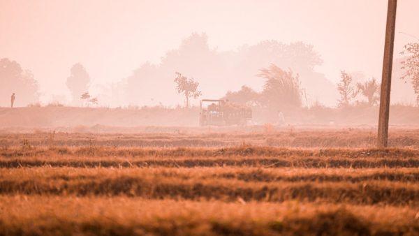 Нитроусиленный оксид: Влияние на экологию и климатические изменения