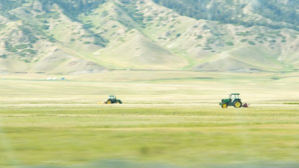 Нитратный оксид (N2O) и его воздействие на экологию