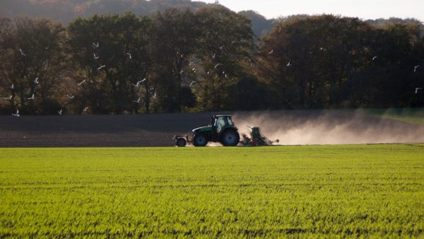 Нитрозный оксид и его влияние на экологию